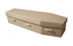 browncardboardcoffin-300x188